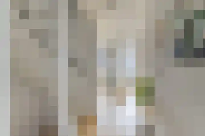 Tigrisstraat 88 Purmerend thumbnail 23