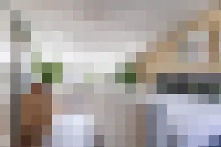 Tigrisstraat 88 Purmerend thumbnail 32
