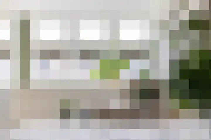 Tigrisstraat 88 Purmerend thumbnail 34