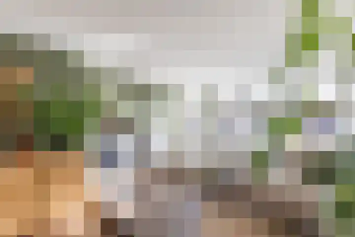 Tigrisstraat 88 Purmerend thumbnail 36