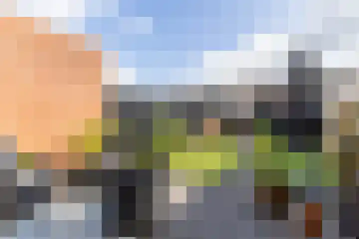 Tigrisstraat 88 Purmerend thumbnail 38