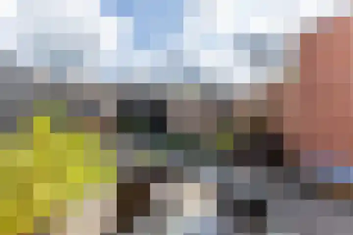 Tigrisstraat 88 Purmerend thumbnail 39