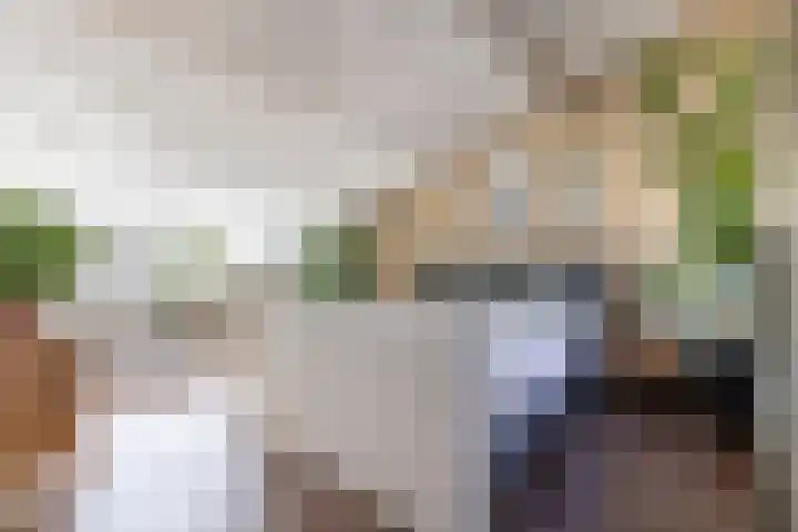 Tigrisstraat 88 Purmerend thumbnail 4
