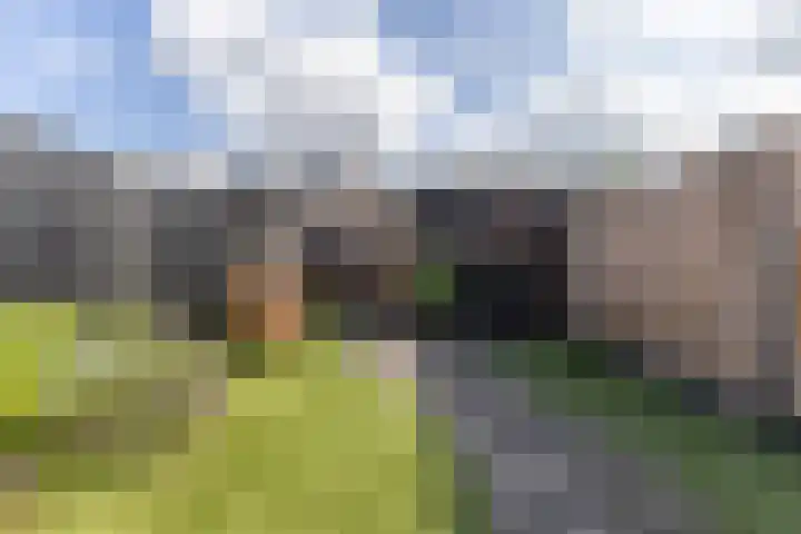 Tigrisstraat 88 Purmerend thumbnail 40