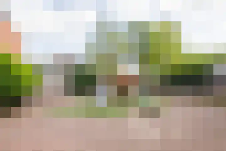 Tigrisstraat 88 Purmerend thumbnail 45