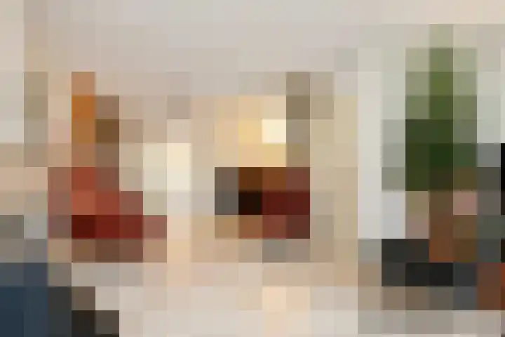 Tijberg 50 Zoetermeer thumbnail 18