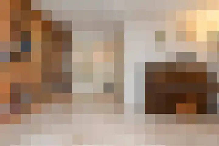 Tijberg 50 Zoetermeer thumbnail 20