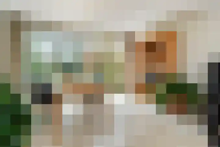 Tijberg 50 Zoetermeer thumbnail 24