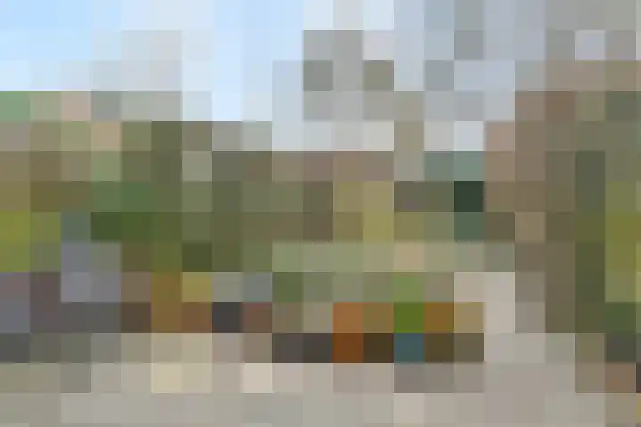 Tijberg 50 Zoetermeer thumbnail 26