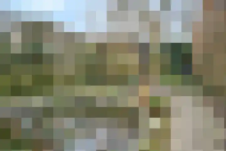 Tijberg 50 Zoetermeer thumbnail 27