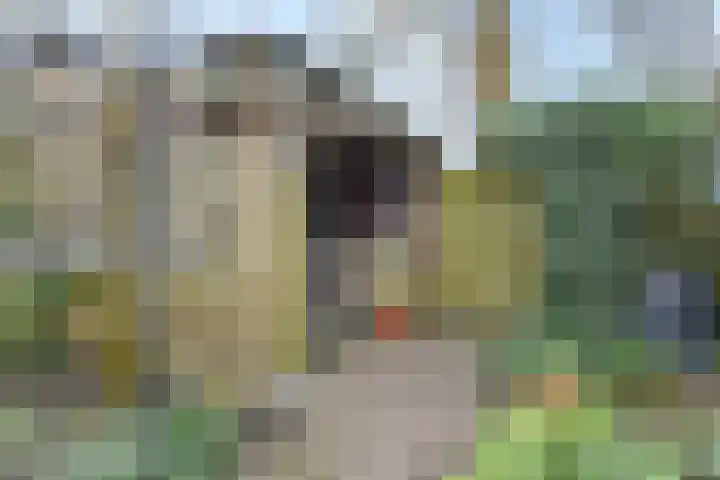Tijberg 50 Zoetermeer thumbnail 28