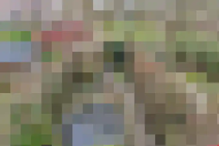 Tijberg 50 Zoetermeer thumbnail 34
