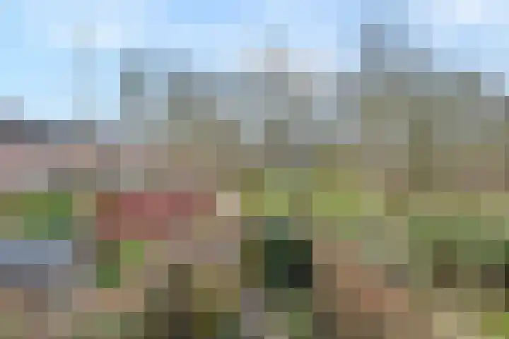 Tijberg 50 Zoetermeer thumbnail 35