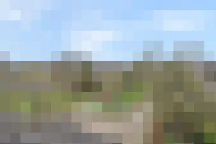 Tijberg 50 Zoetermeer thumbnail 44
