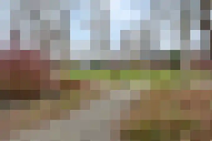 Tijberg 50 Zoetermeer thumbnail 47
