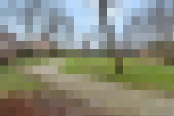 Tijberg 50 Zoetermeer thumbnail 48