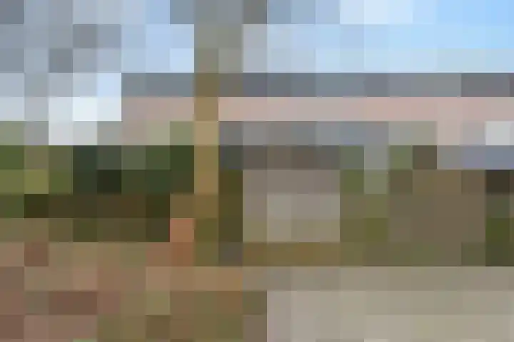 Tijberg 50 Zoetermeer thumbnail 49