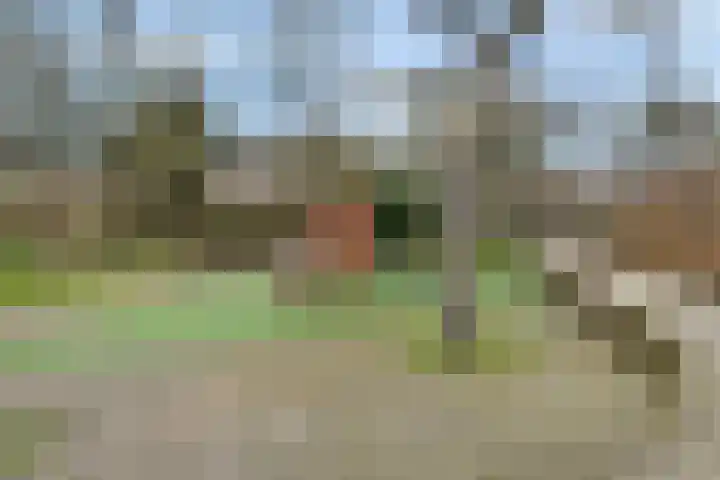 Tijberg 50 Zoetermeer thumbnail 55