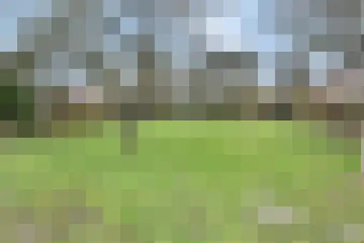 Tijberg 50 Zoetermeer thumbnail 56