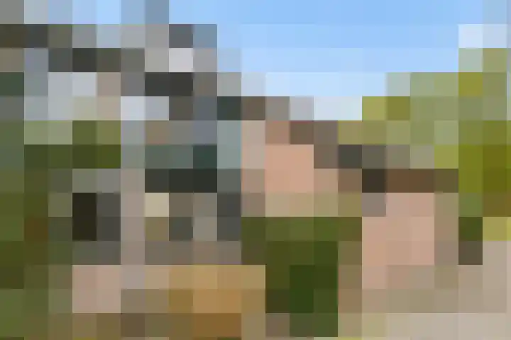 Tijberg 50 Zoetermeer thumbnail 58