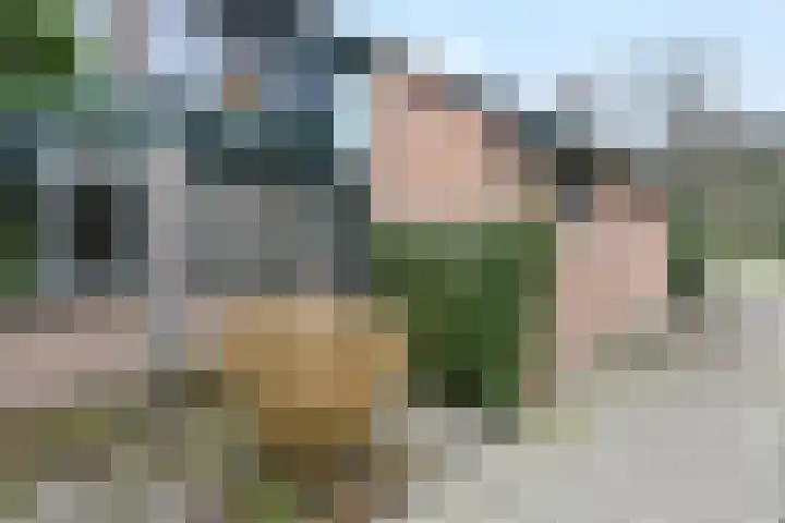 Tijberg 50 Zoetermeer thumbnail 6