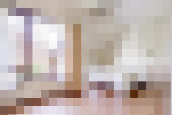 Tijberg 55 Zoetermeer thumbnail 18