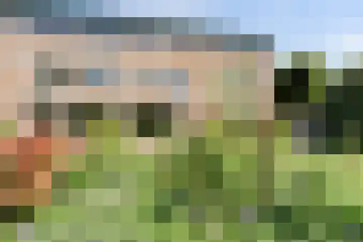 Tijberg 55 Zoetermeer thumbnail 30