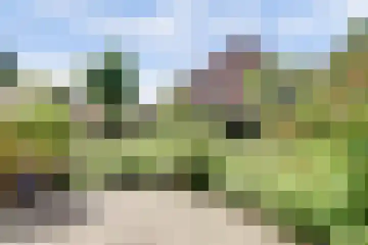 Tijberg 55 Zoetermeer thumbnail 31