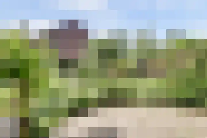 Tijberg 55 Zoetermeer thumbnail 32