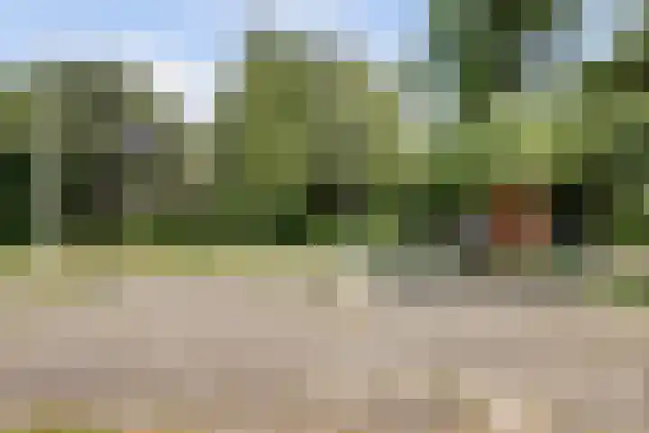 Tijberg 55 Zoetermeer thumbnail 33