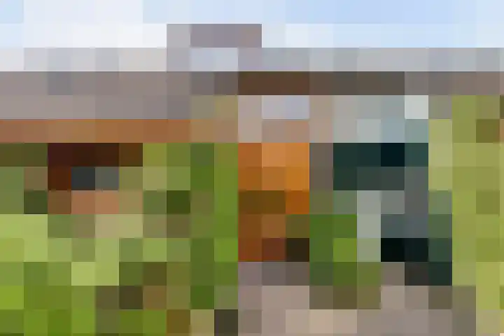 Tijberg 55 Zoetermeer thumbnail 6
