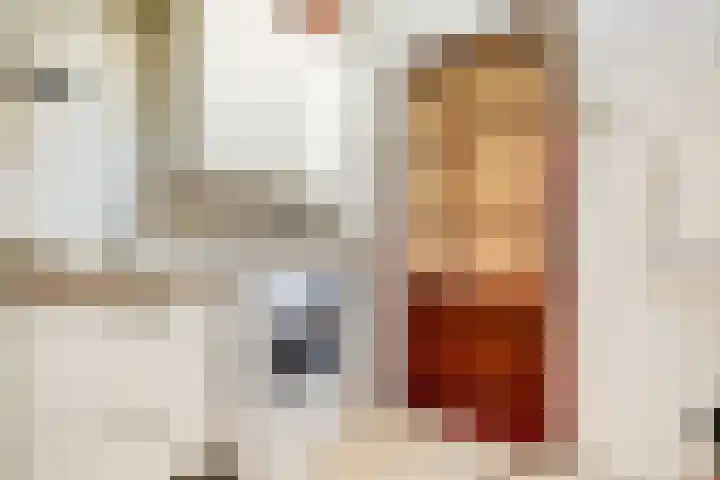 Tijberg 55 Zoetermeer thumbnail 8