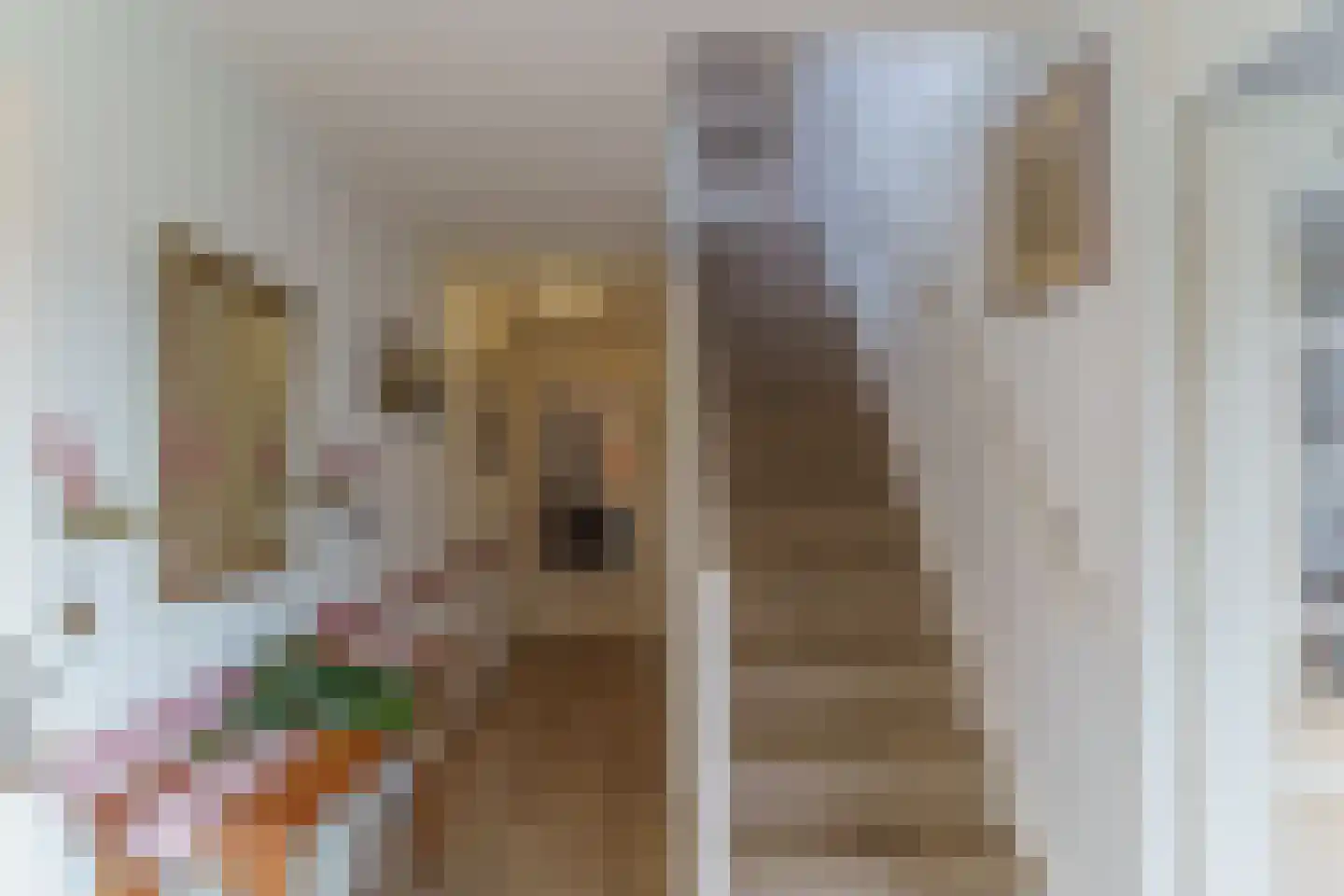 Tijdemanhove 15 Delfgauw thumbnail 18