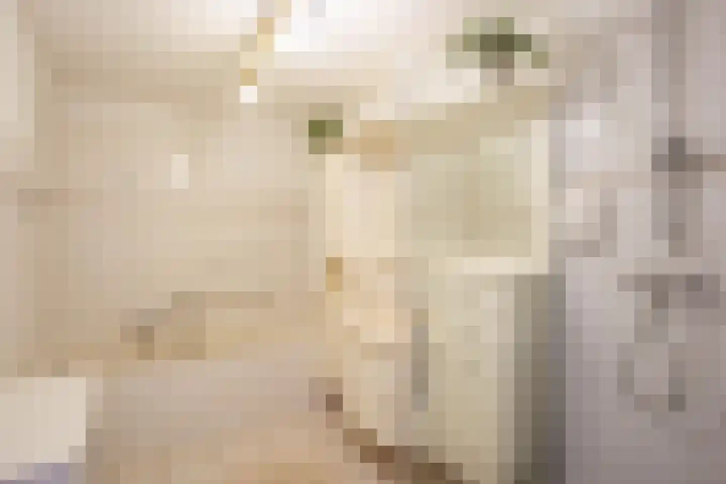 Tijdemanhove 15 Delfgauw thumbnail 20