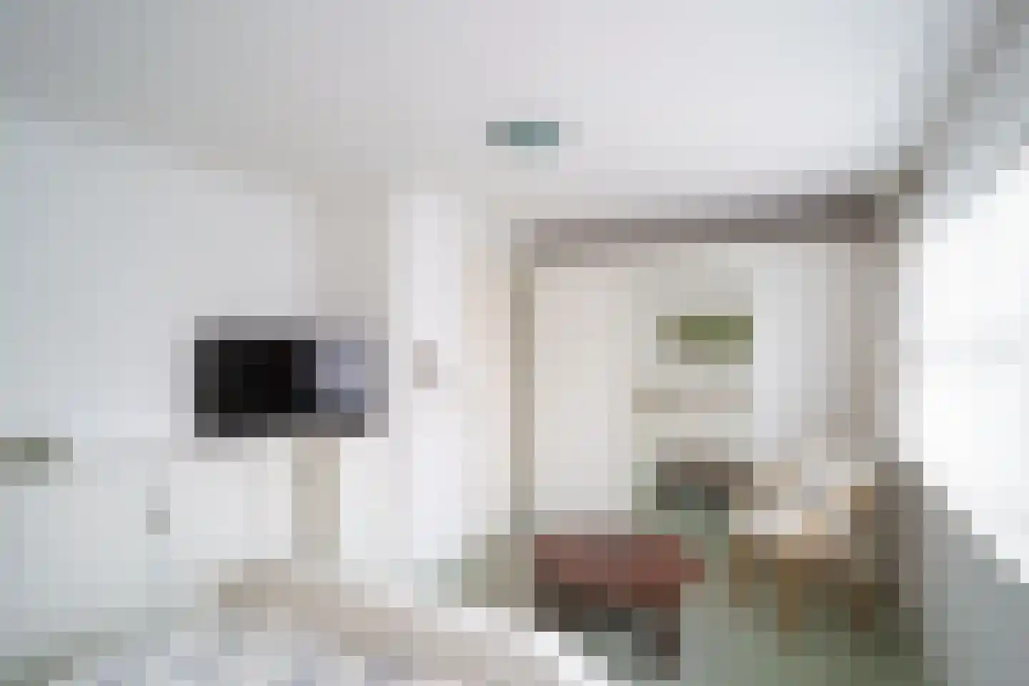 Tijdemanhove 15 Delfgauw thumbnail 22