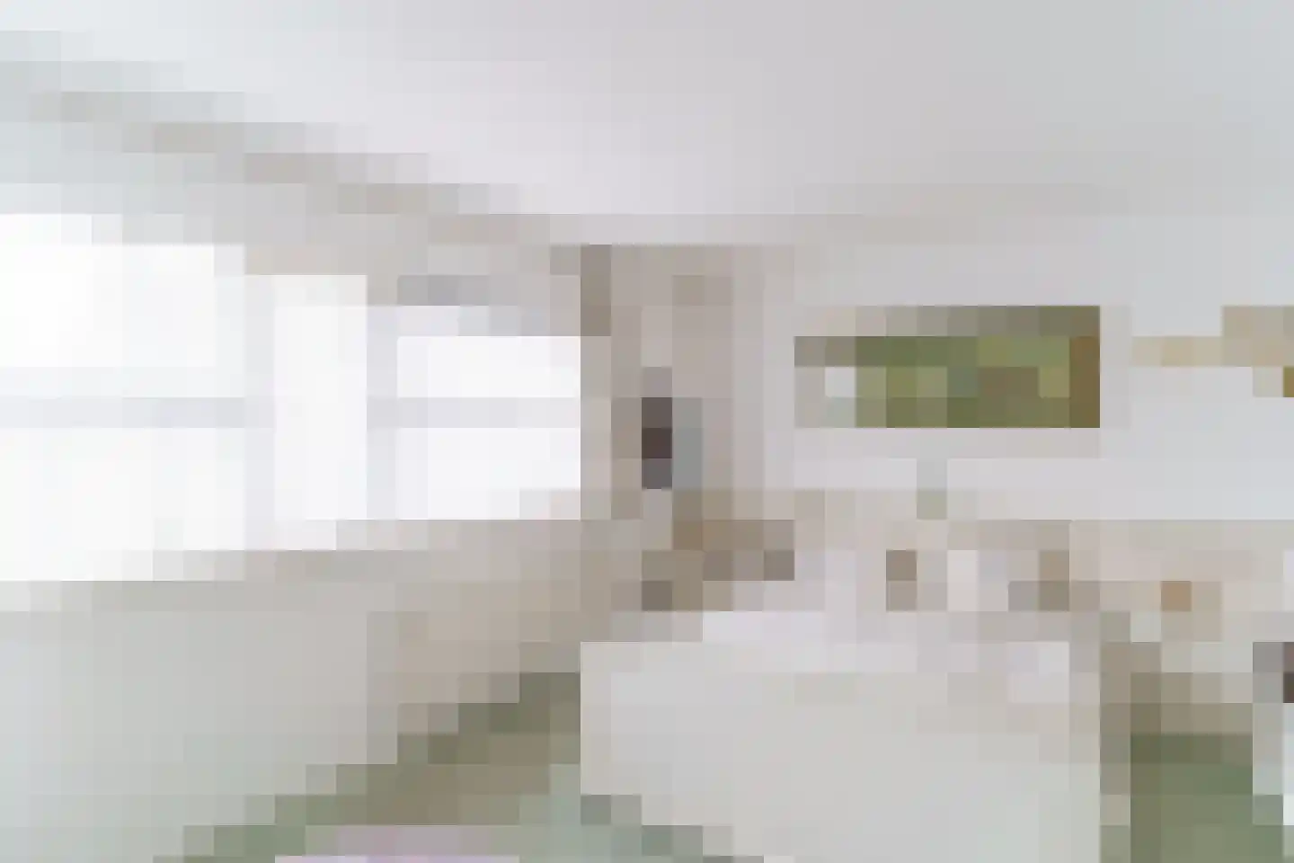 Tijdemanhove 15 Delfgauw thumbnail 24