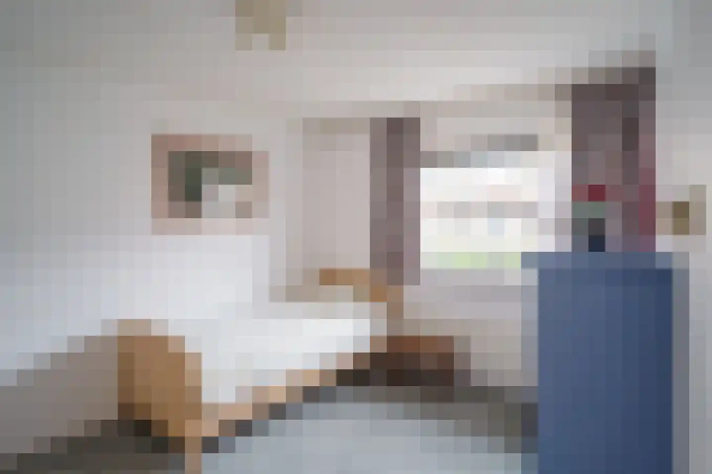 Tijdemanhove 15 Delfgauw thumbnail 25