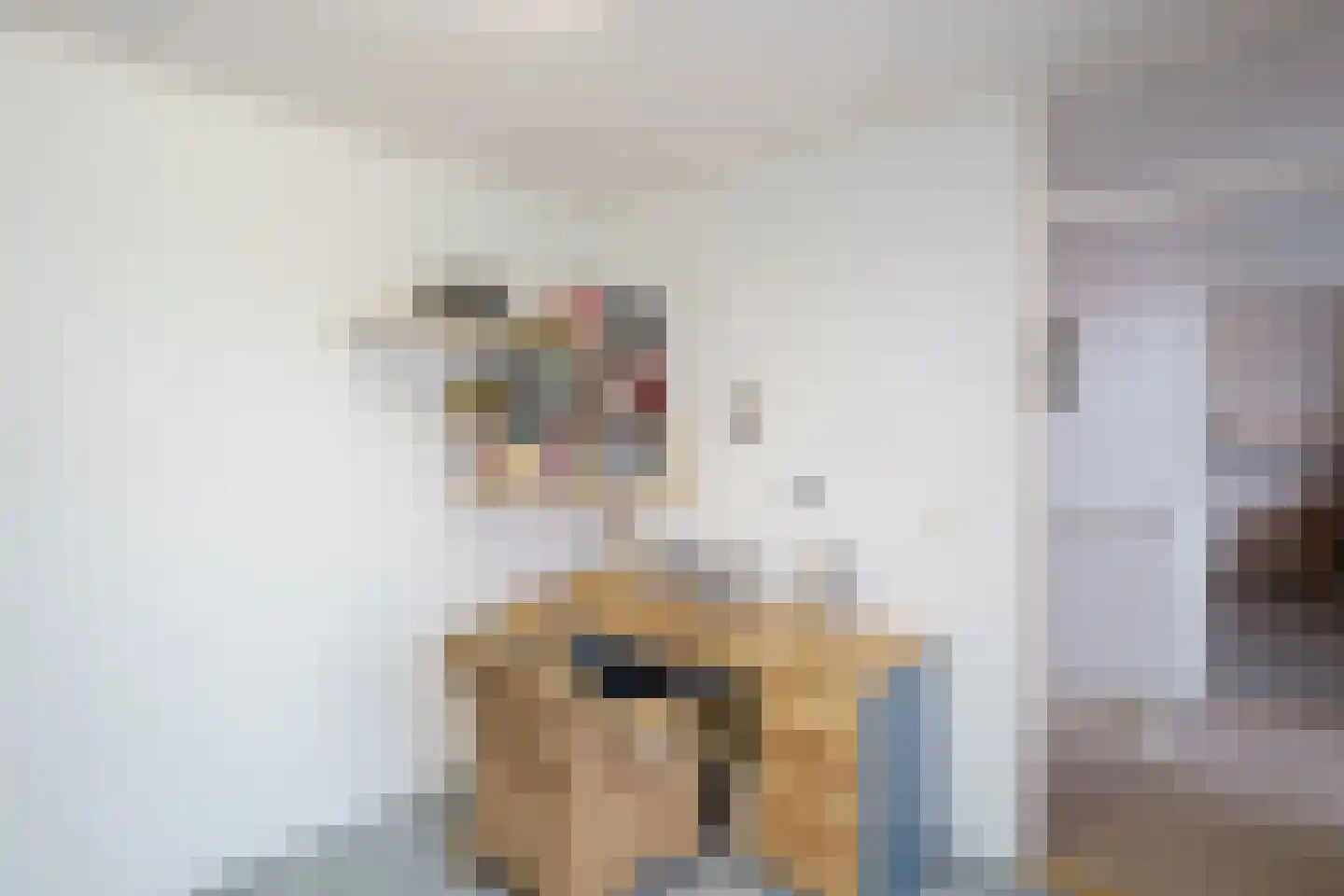 Tijdemanhove 15 Delfgauw thumbnail 29
