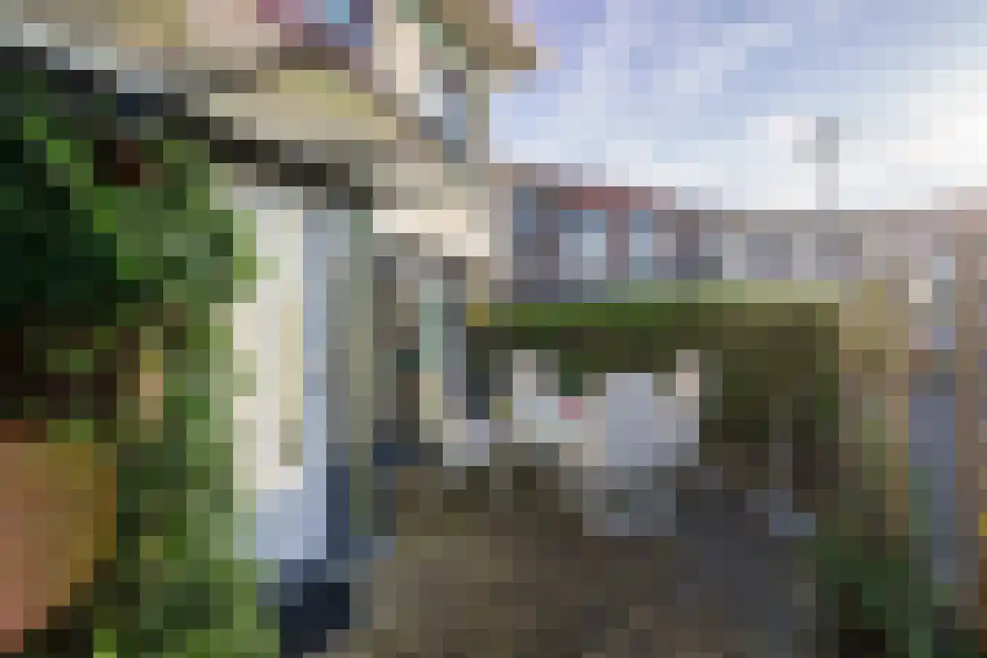 Tijdemanhove 15 Delfgauw foto 3