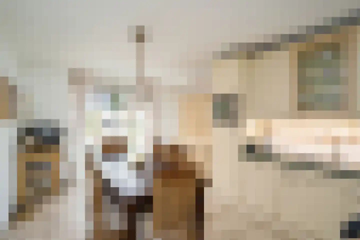 Tijdemanhove 15 Delfgauw thumbnail 7