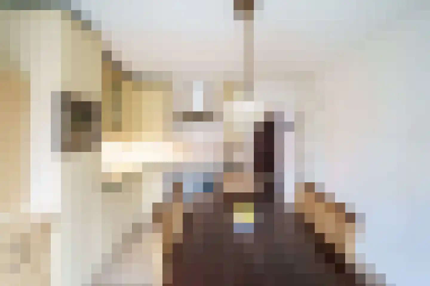 Tijdemanhove 15 Delfgauw thumbnail 8