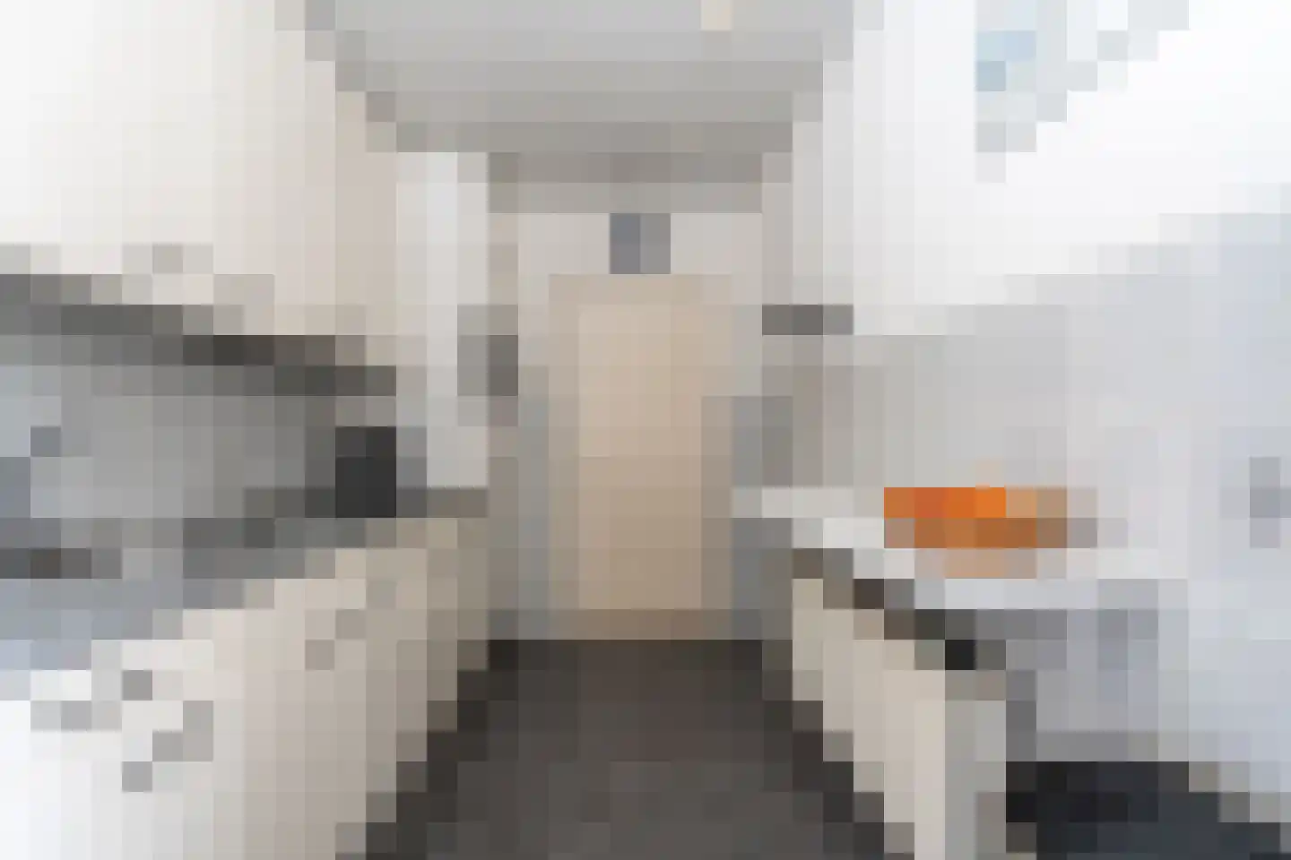 Tijdensstraat 12 Veendam thumbnail 11
