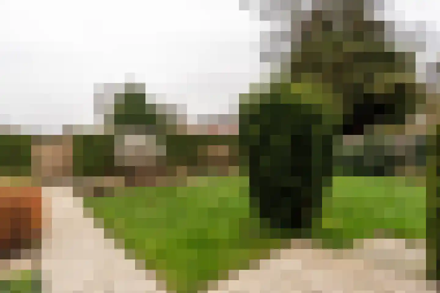 Tijdensstraat 12 Veendam thumbnail 27