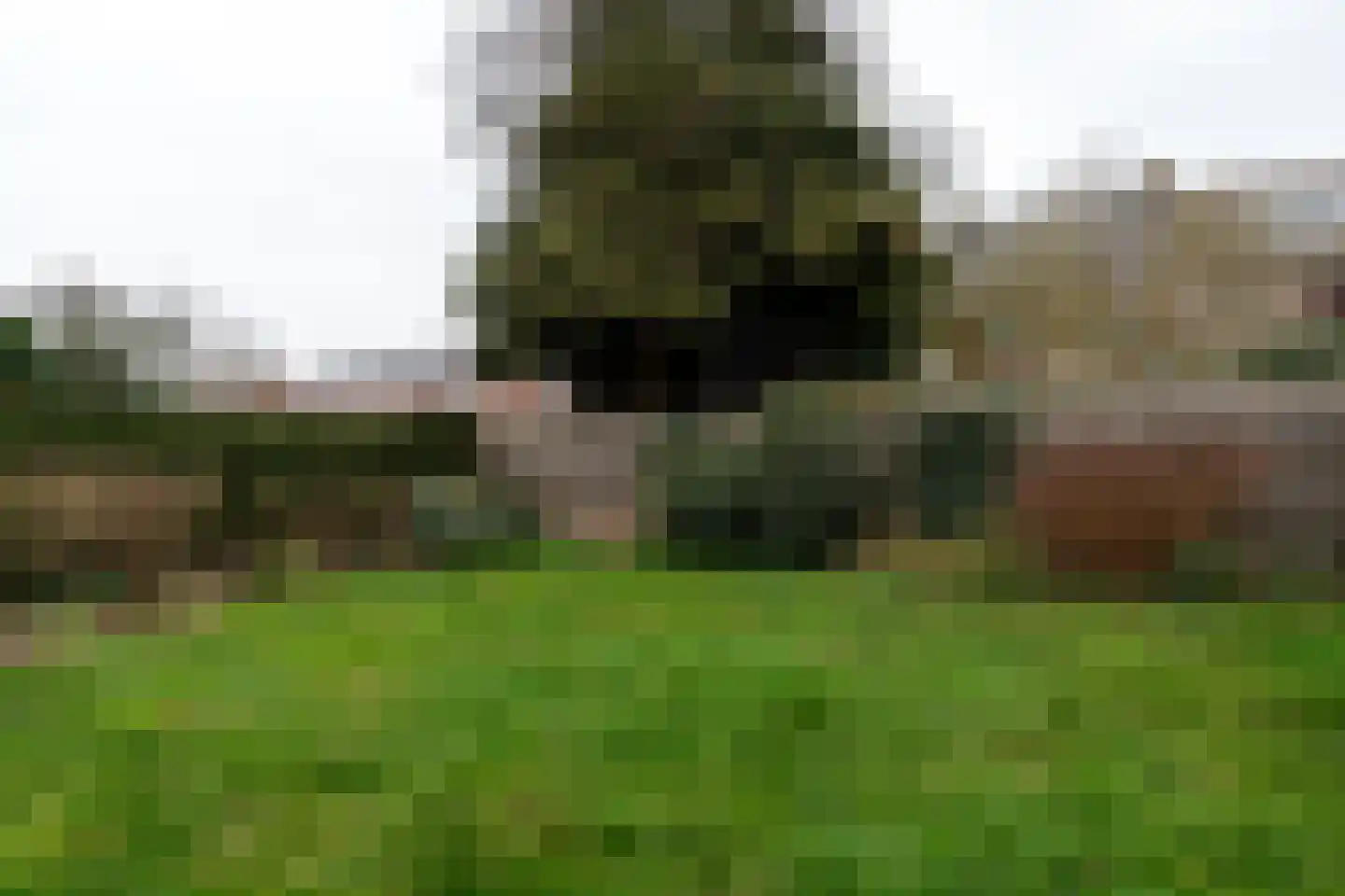 Tijdensstraat 12 Veendam thumbnail 31