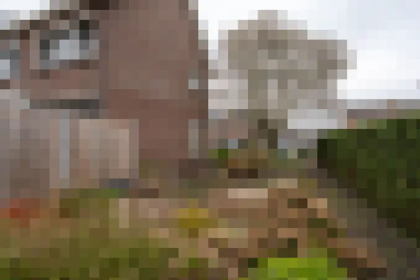 Tijdensstraat 12 Veendam thumbnail 32
