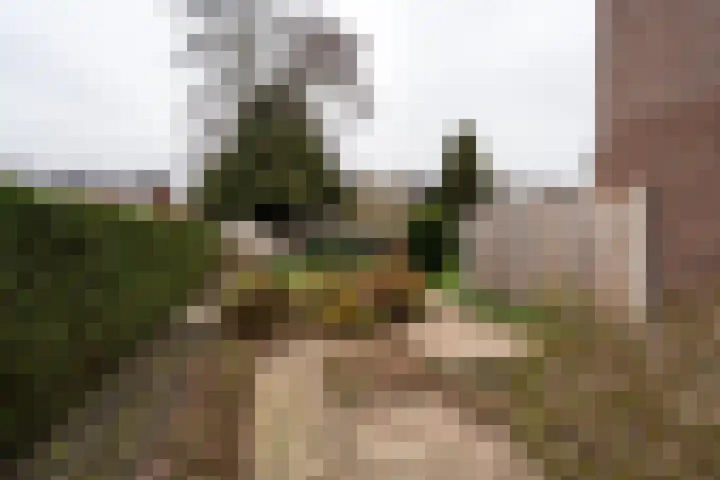 Tijdensstraat 12 Veendam thumbnail 34