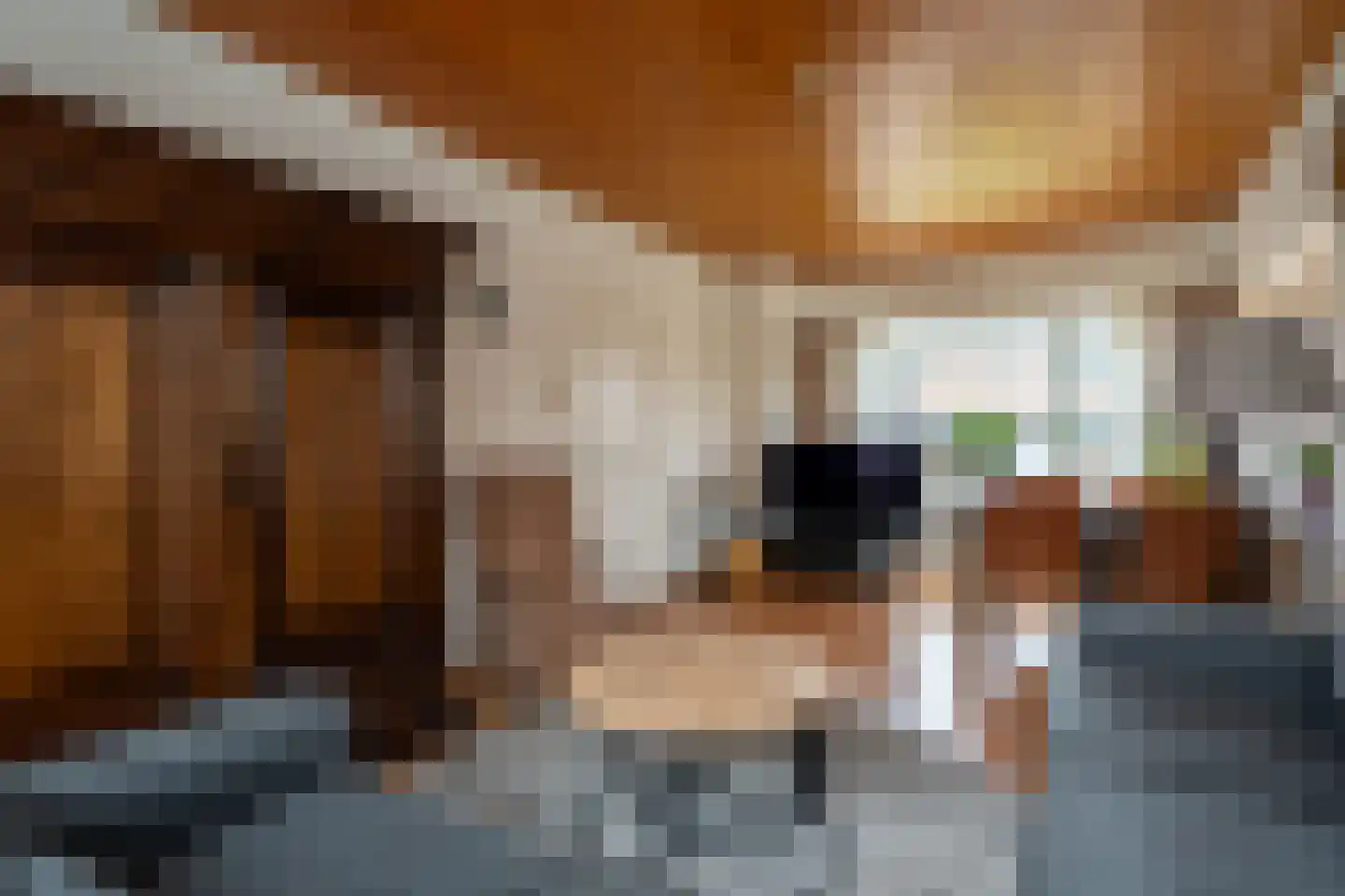 Tijdensstraat 12 Veendam thumbnail 4