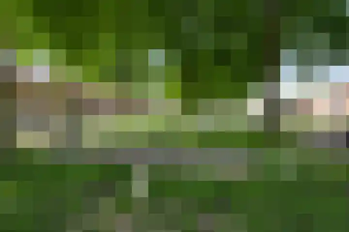 Tijdigstraat 12 Weert thumbnail 21