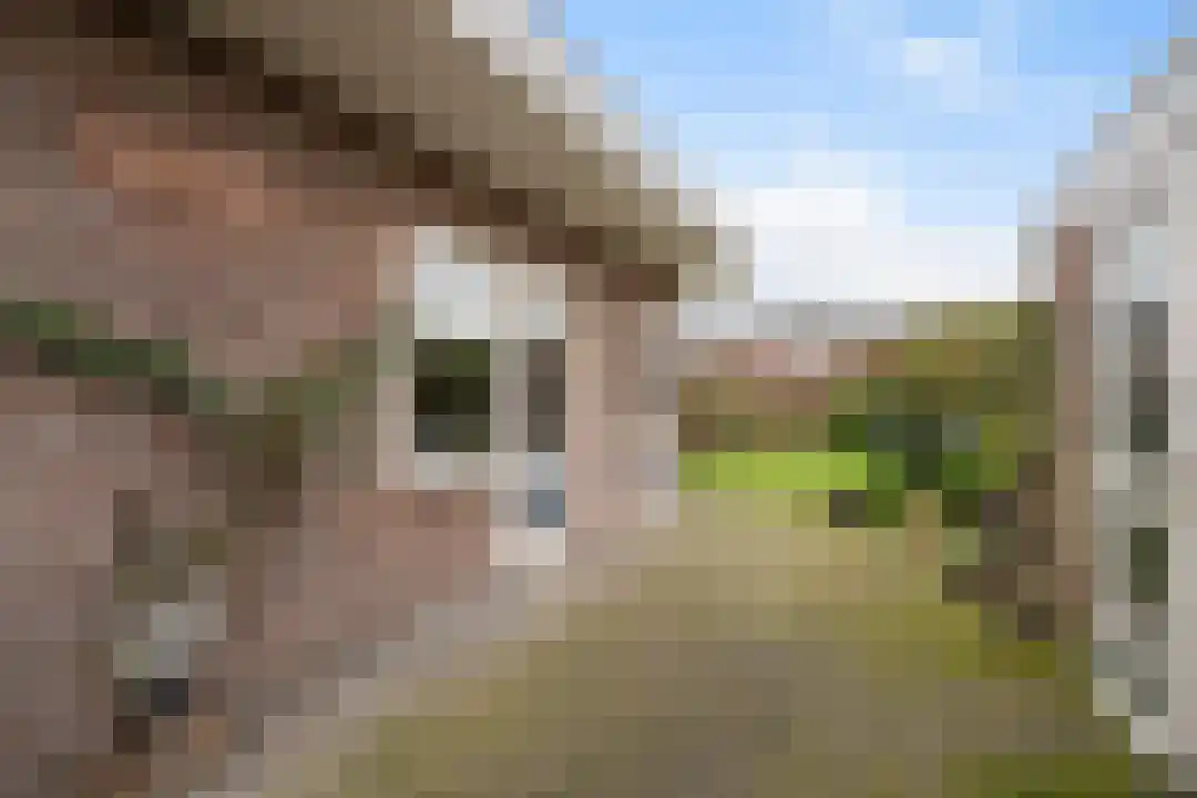 Tijdigstraat 19 Weert thumbnail 36