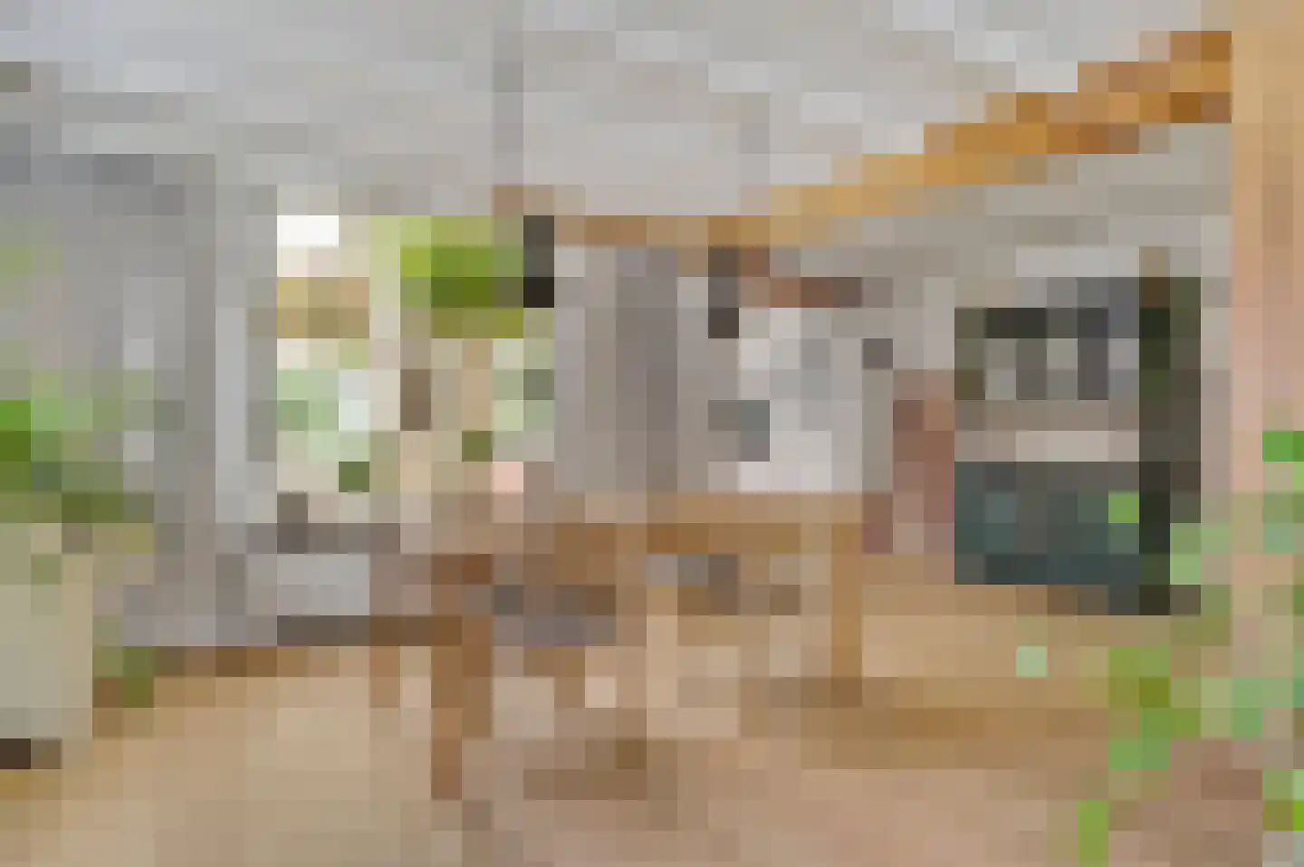 Tijdigstraat 21 Weert thumbnail 12